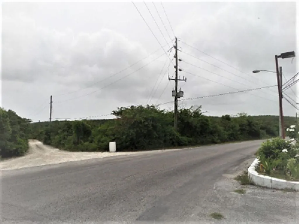 Hamilton's Lot Long Island BS