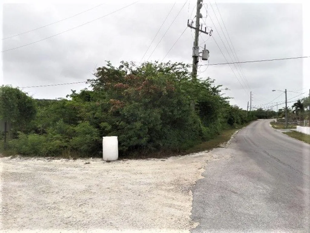 Hamilton's Lot Long Island BS