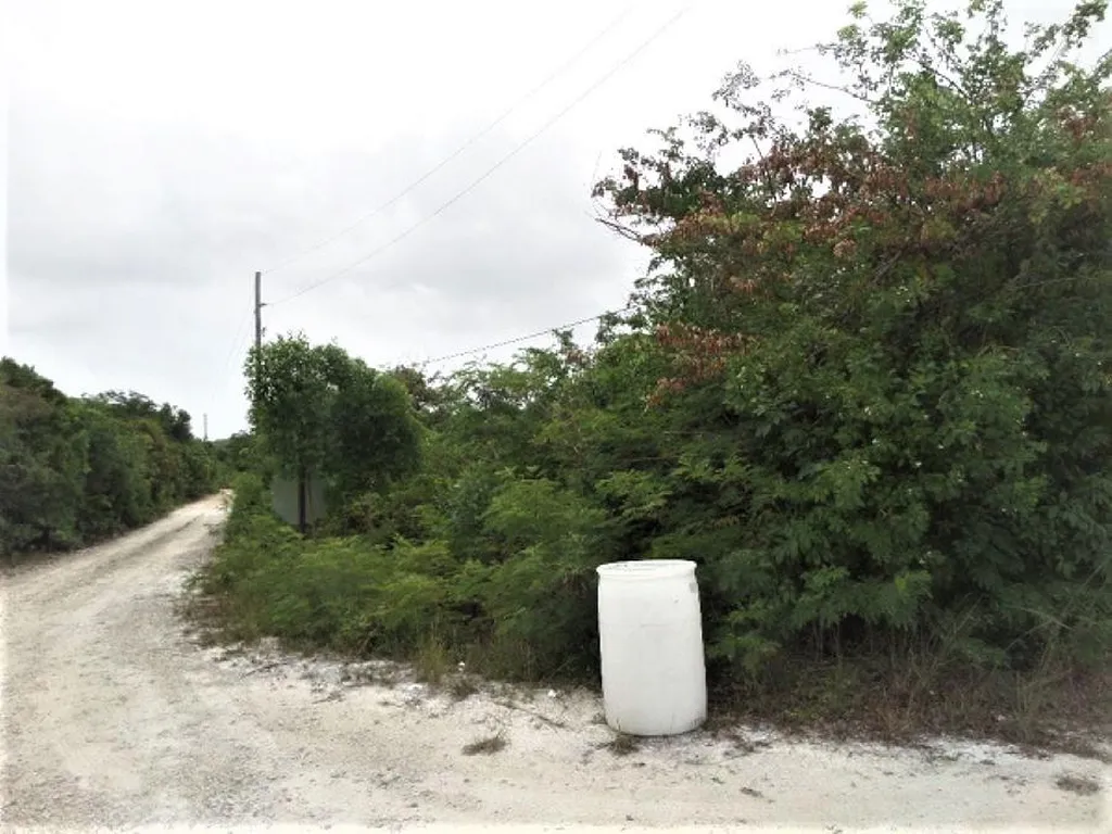 Hamilton's Lot Long Island BS