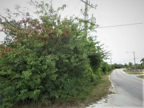 Hamilton's Lot Long Island BS