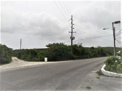 Hamilton's Lot Long Island BS