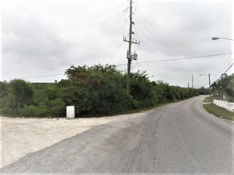 Hamilton's Lot Long Island BS