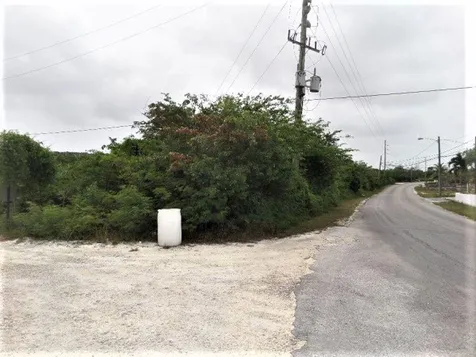 Hamilton's Lot Long Island BS