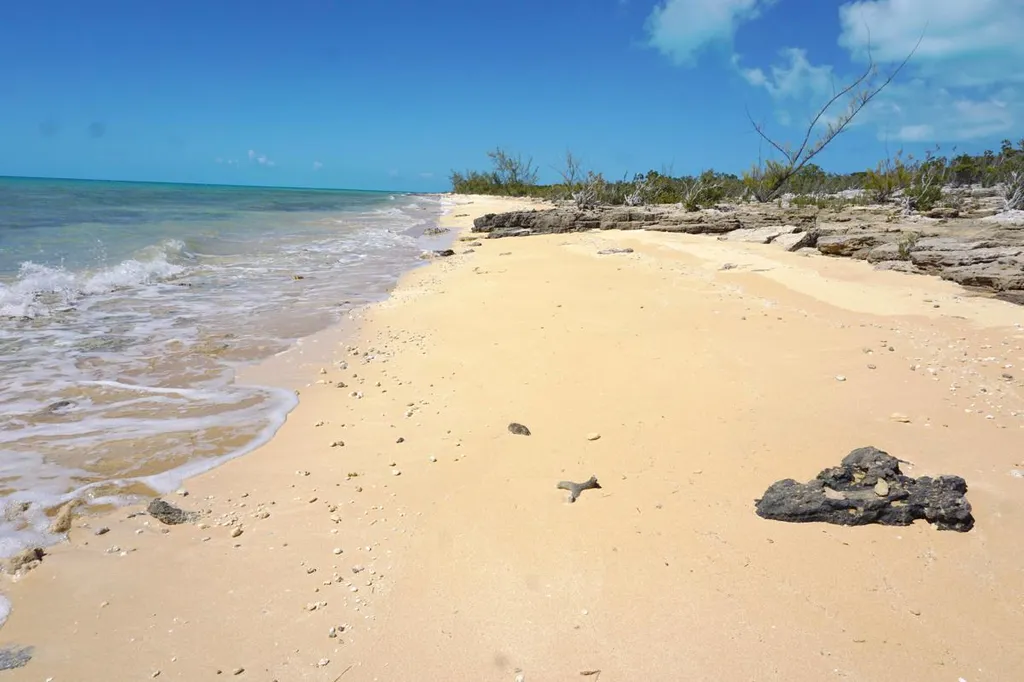 Hilltop Acreage Long Island BS