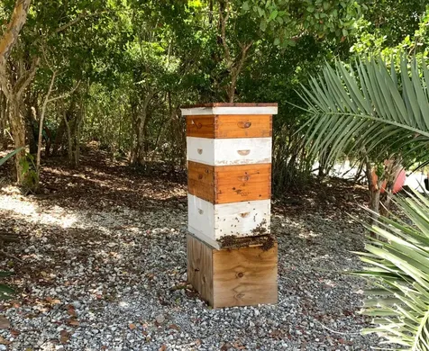 Ocean View Home W/cottage Long Island BS