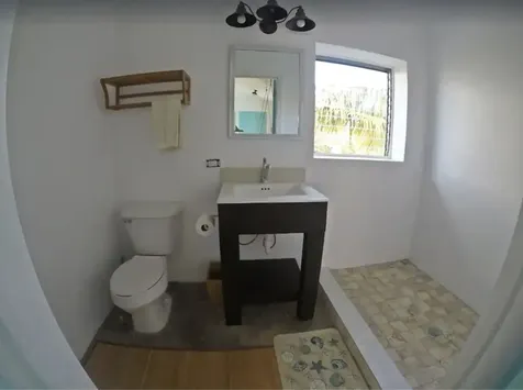 Ocean View Home W/cottage Long Island BS