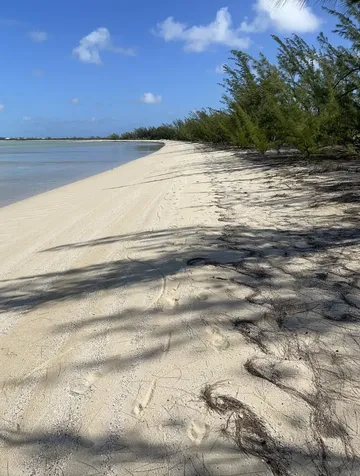 Wemyss Long Island Long Island BS