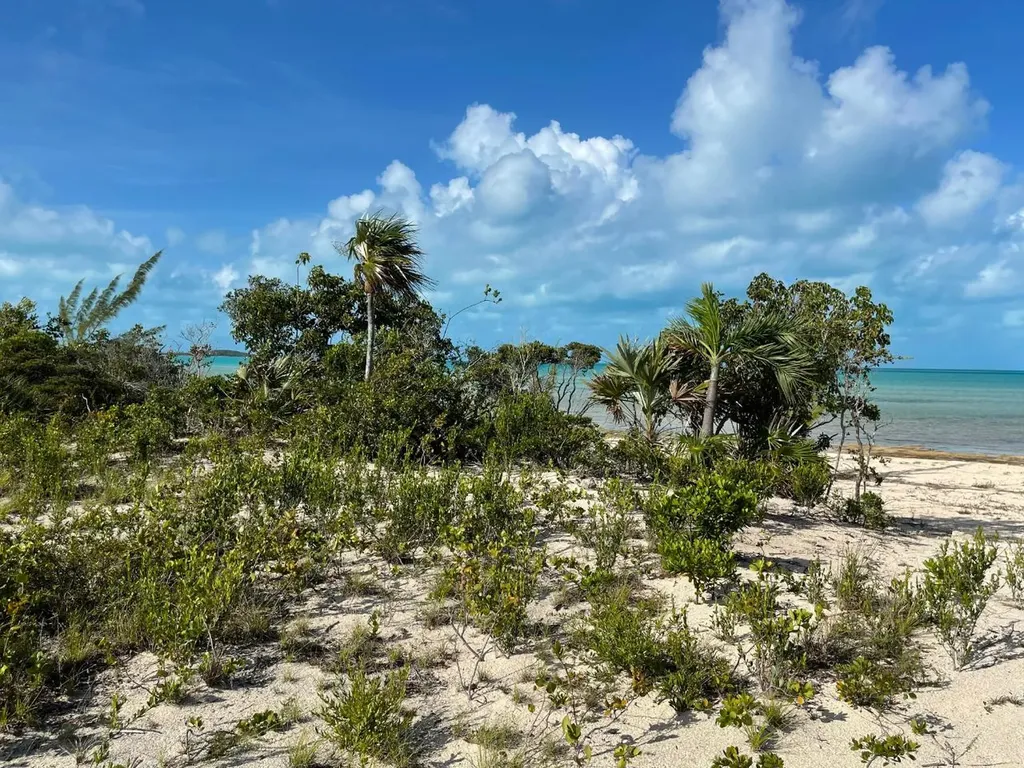 Beachfront Wemyss Li Long Island BS