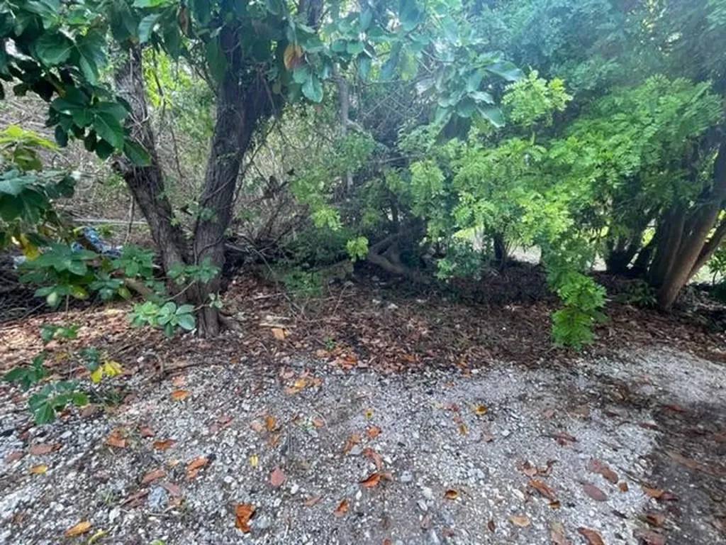 Halibut Street Grand Bahama Freeport BS