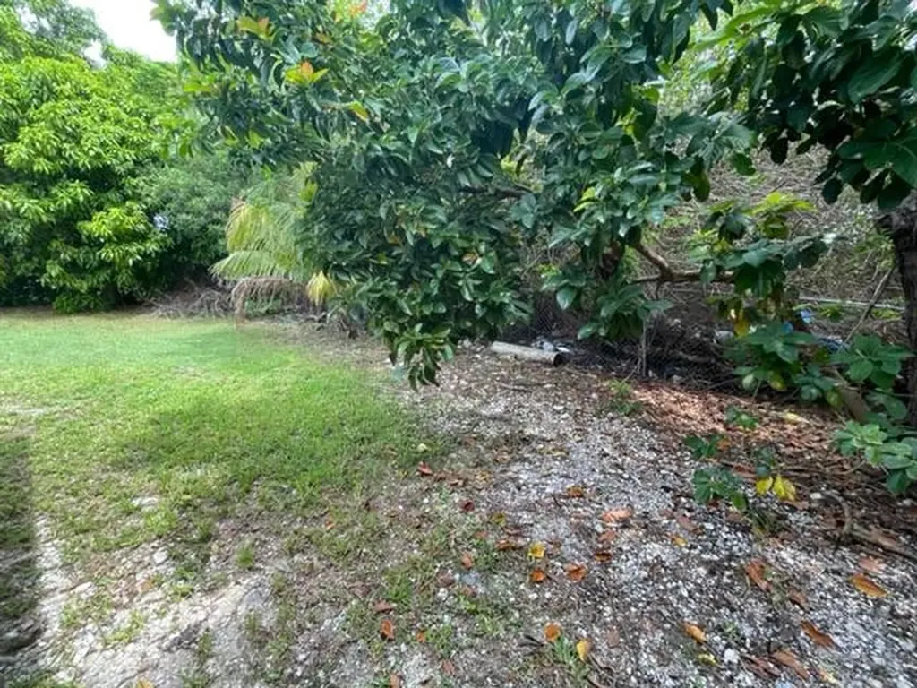 Halibut Street Grand Bahama Freeport BS