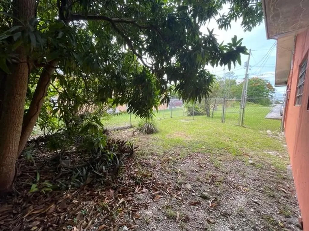 Halibut Street Grand Bahama Freeport BS