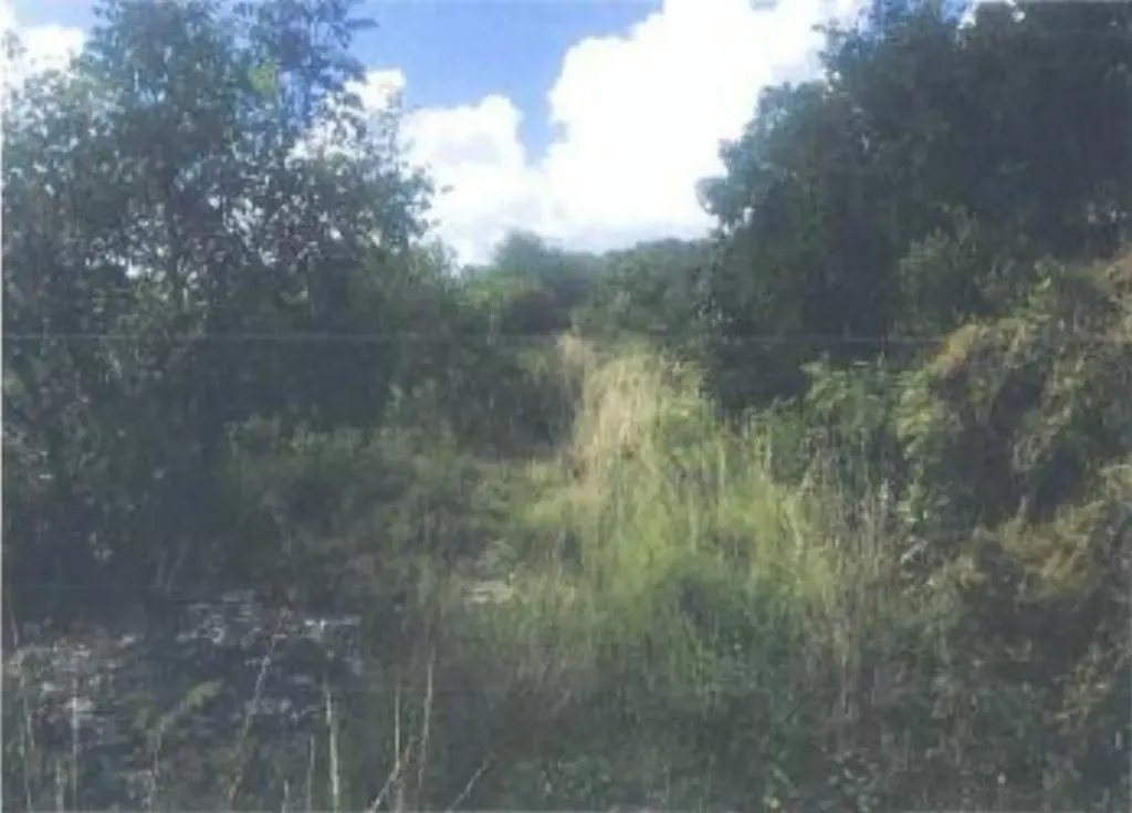 Parcel Of Land And Improv Andros BS