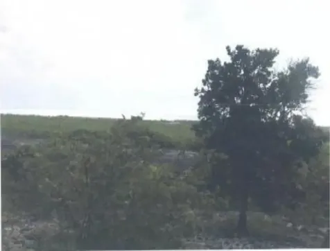 Parcel Of Land And Improv Andros BS