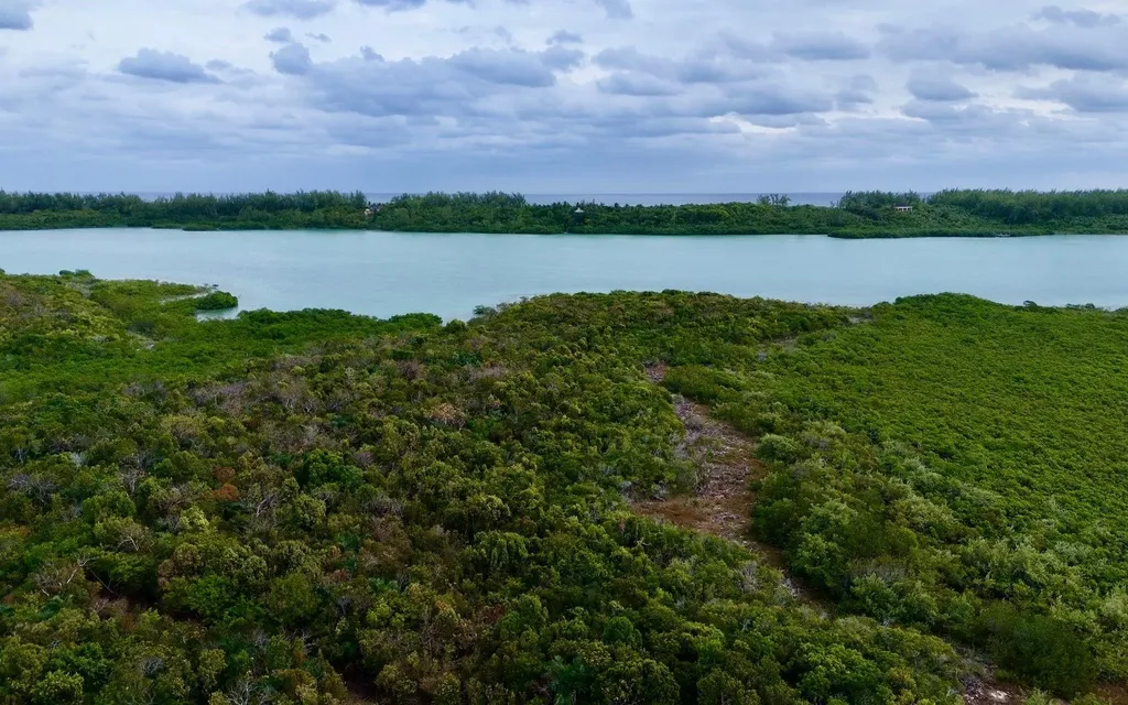 The Gibson Tract Eleuthera BS