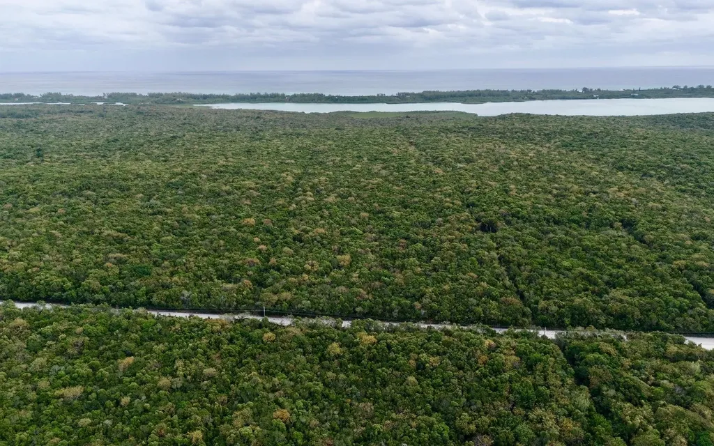 The Gibson Tract Eleuthera BS