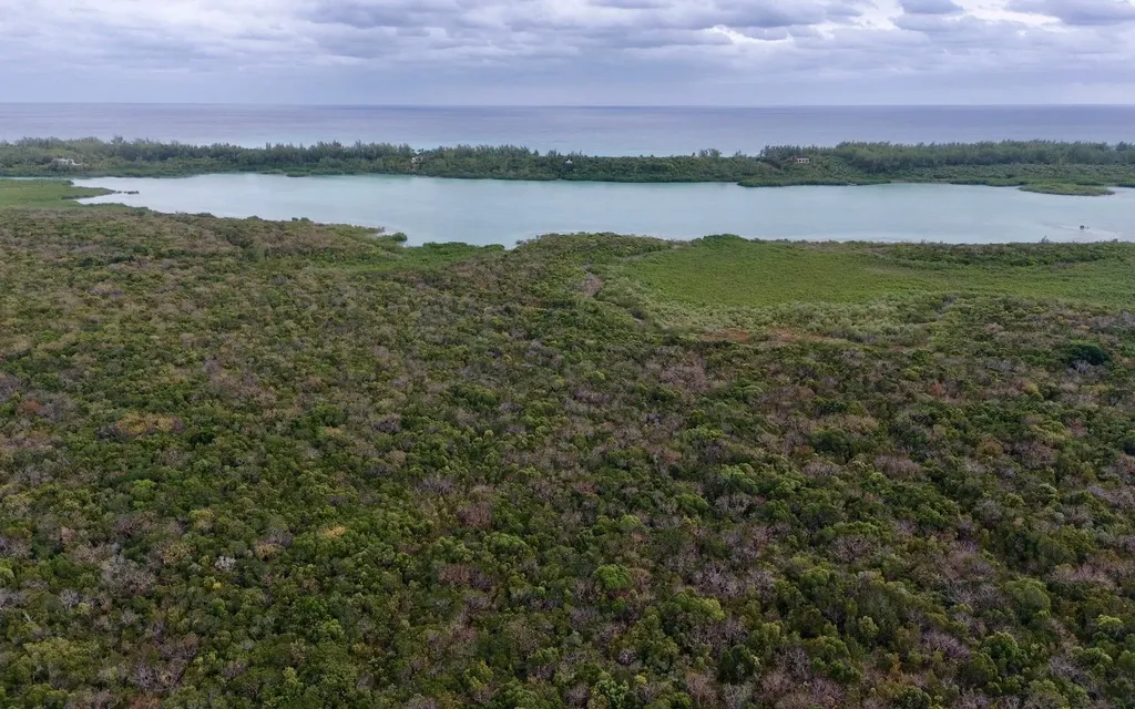 The Gibson Tract Eleuthera BS