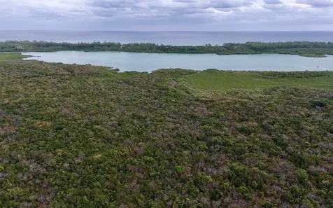 The Gibson Tract Eleuthera BS