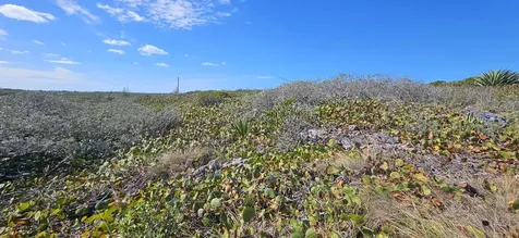 Whale Point Estates Eleuthera BS