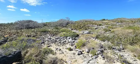 Whale Point Estates Eleuthera BS