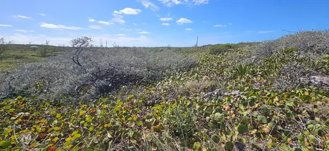 Whale Point Estates Eleuthera BS
