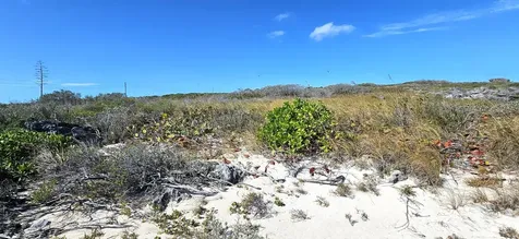 Whale Point Estates Eleuthera BS