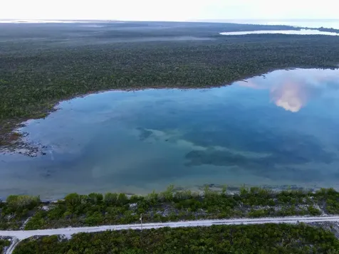 Crooked Island Crooked Island BS