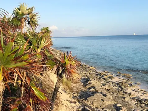 Crooked Island Crooked Island BS