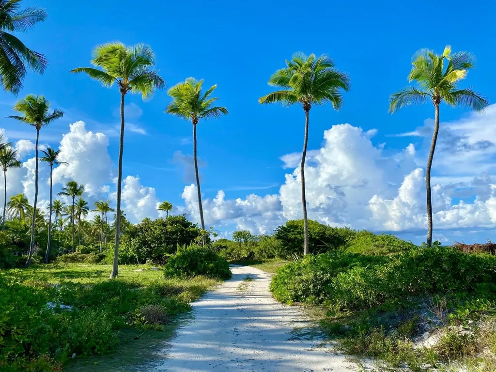 Jasmine Cottage Eleuthera BS