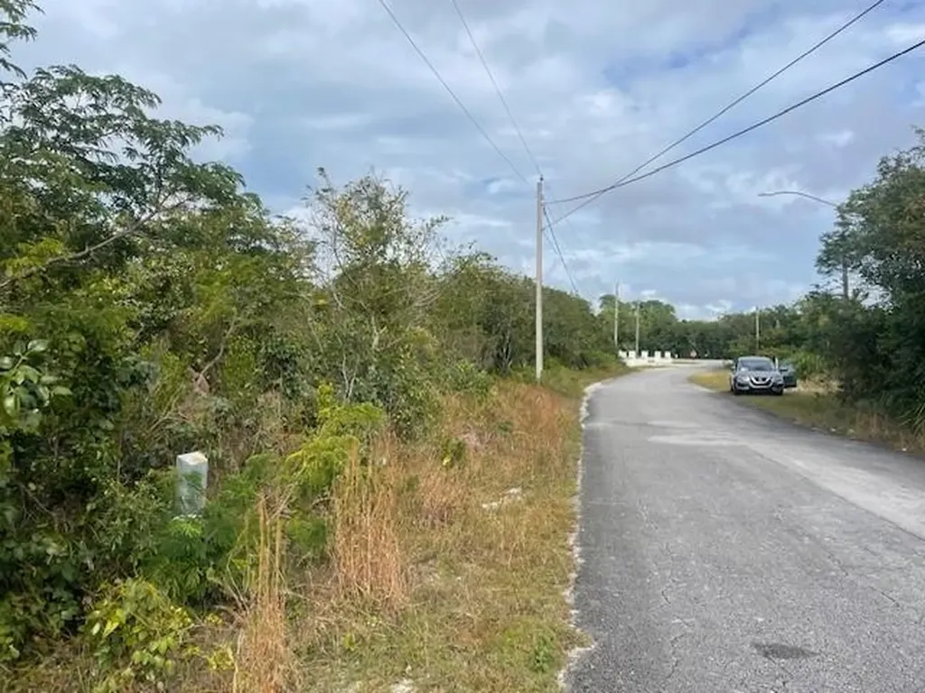 Cotton Ball Lane 3 Grand Bahama Freeport BS