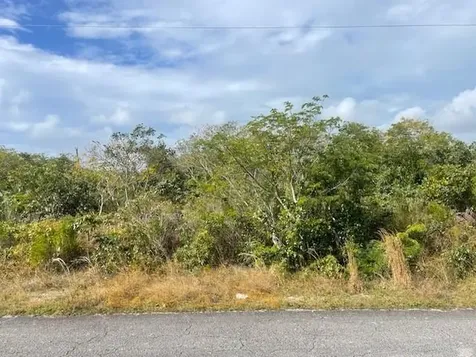 Cotton Ball Lane 3 Grand Bahama Freeport BS