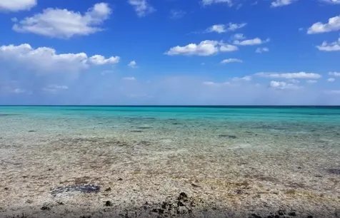 Bayshore Road Grand Bahama Freeport BS