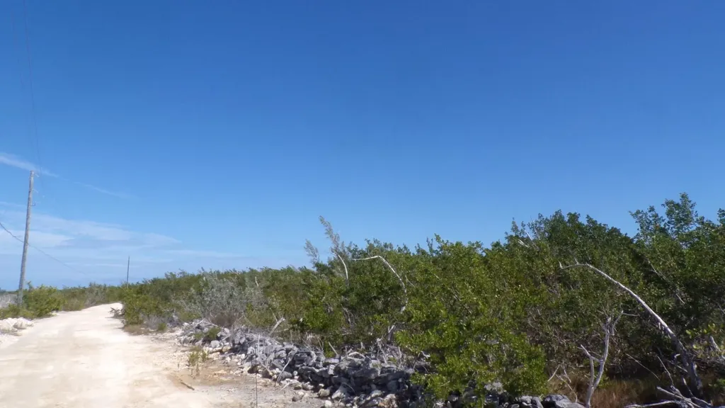 Cabbage Point Long Island BS