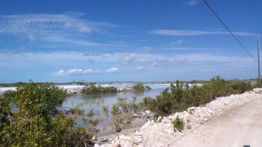 Cabbage Point Long Island BS