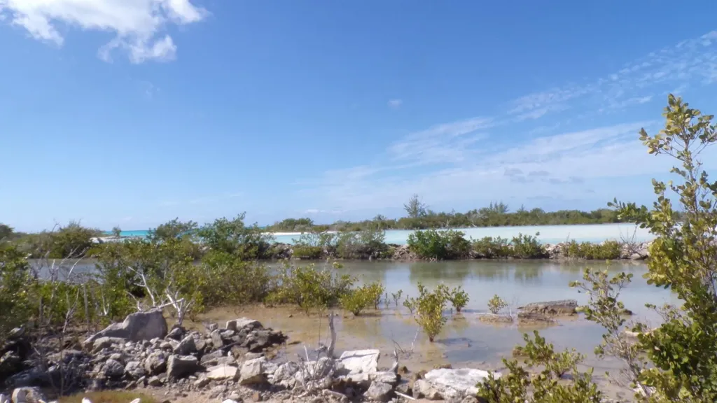 Cabbage Point Long Island BS