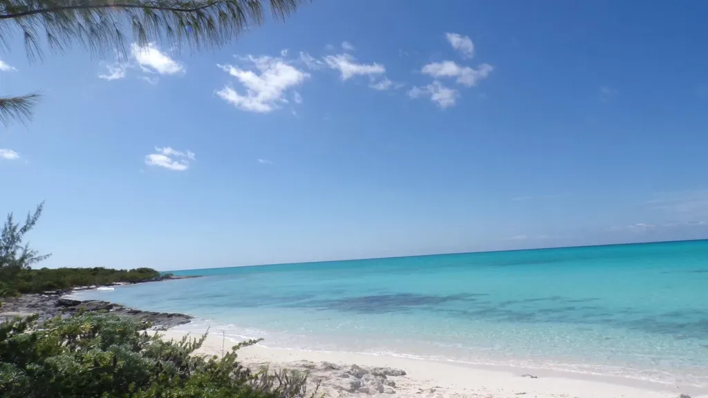 Cabbage Point Long Island BS