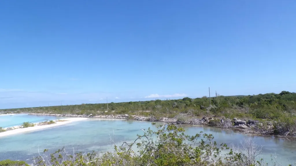 Cabbage Point Long Island BS
