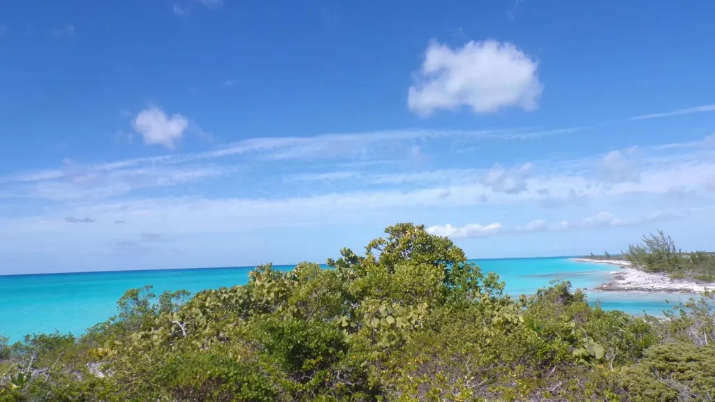 Cabbage Point Long Island BS