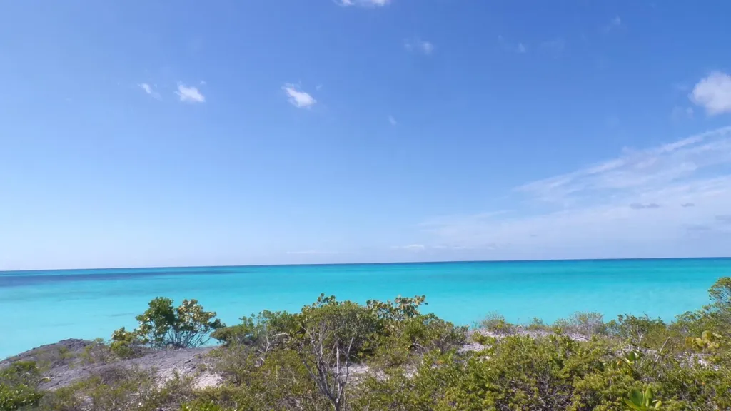 Cabbage Point Long Island BS