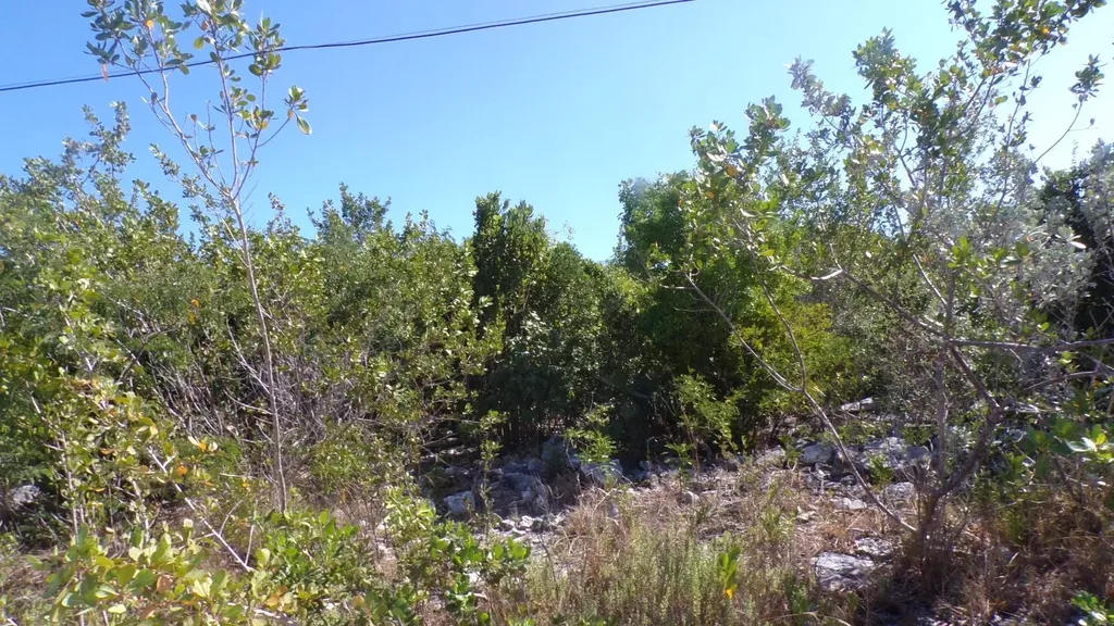 Cabbage Point Long Island BS