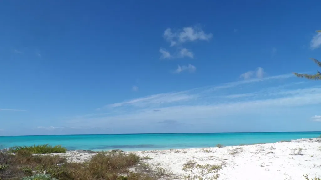 Cabbage Point Long Island BS