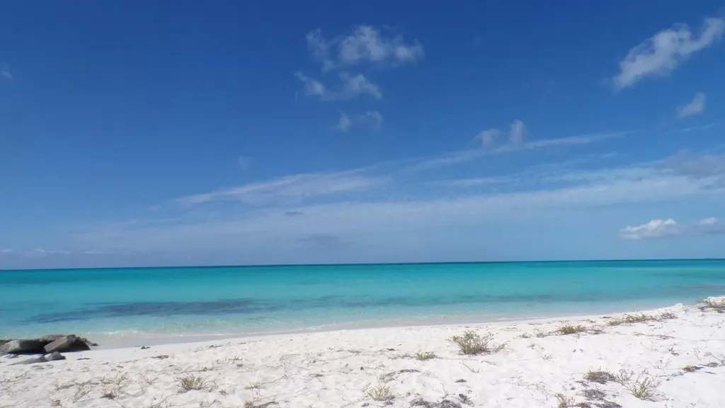 Cabbage Point Long Island BS