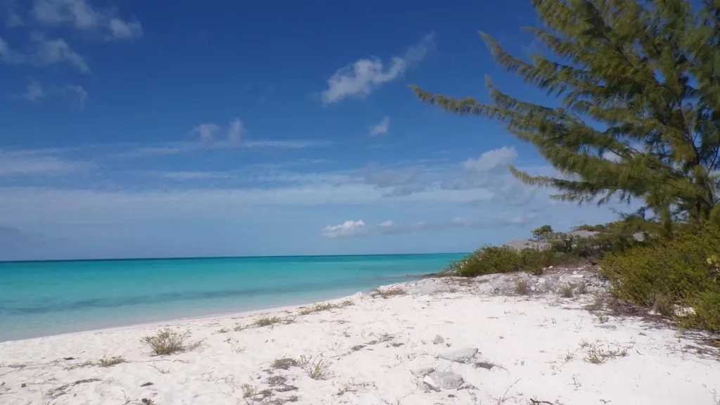 Cabbage Point Long Island BS