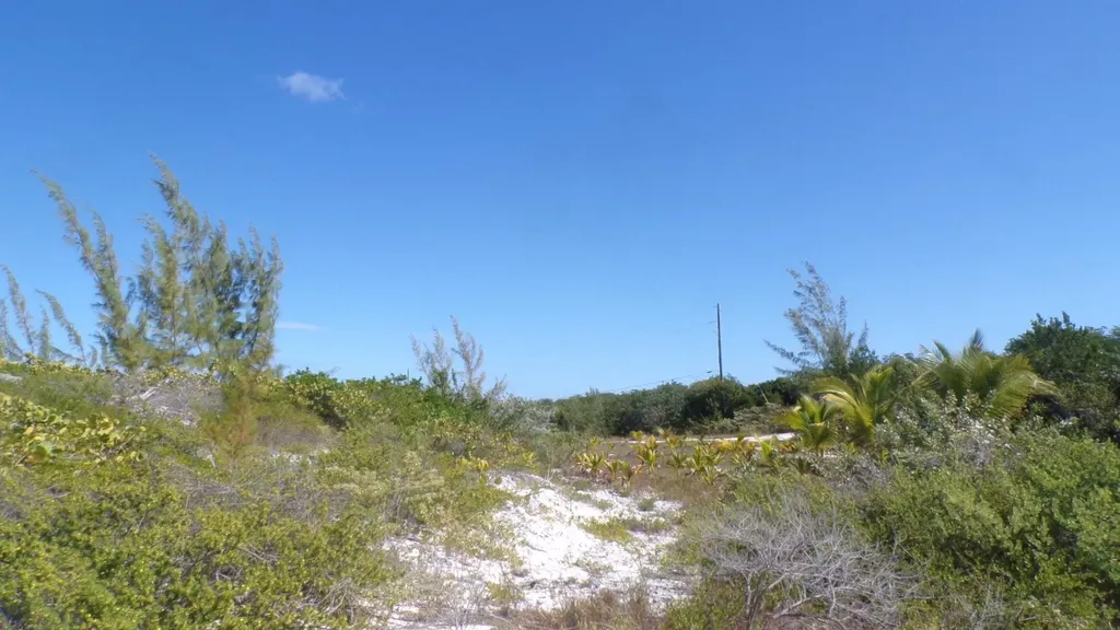 Cabbage Point Long Island BS