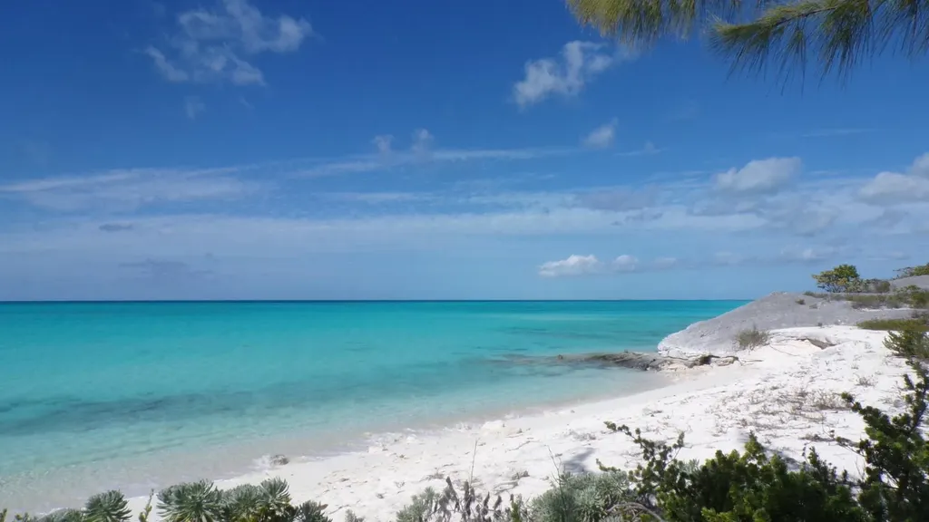 Cabbage Point Long Island BS