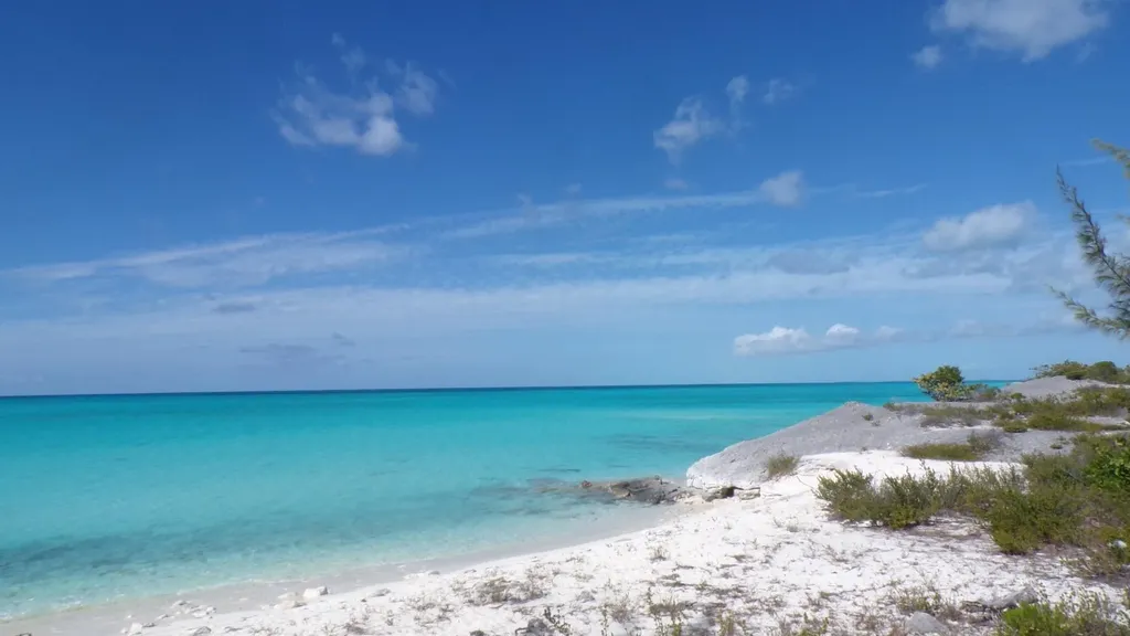 Cabbage Point Long Island BS