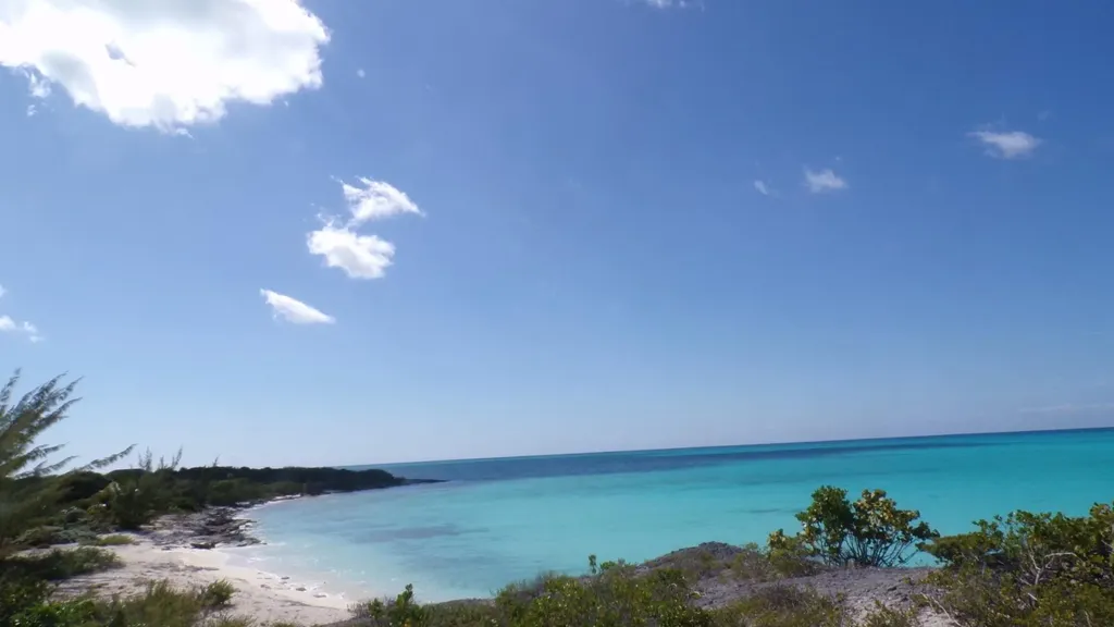 Cabbage Point Long Island BS