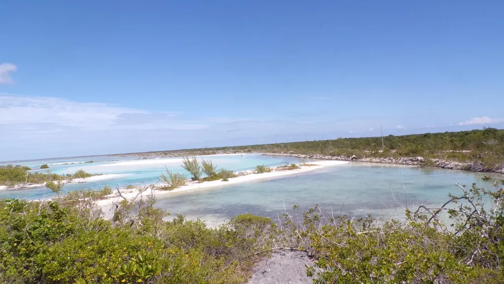 Cabbage Point Long Island BS