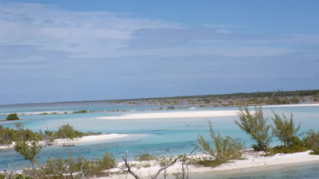 Cabbage Point Long Island BS