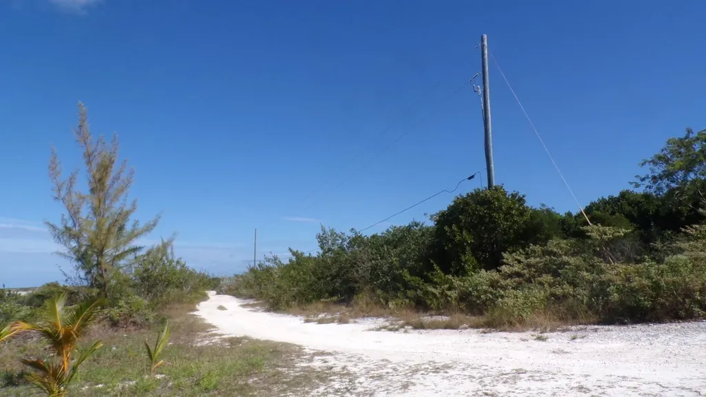Cabbage Point Long Island BS