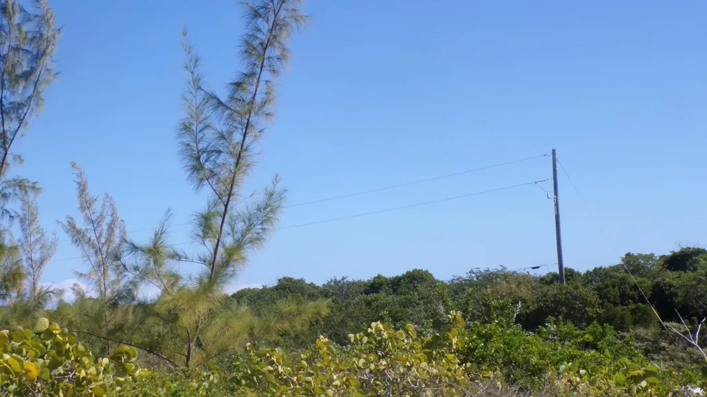 Cabbage Point Long Island BS